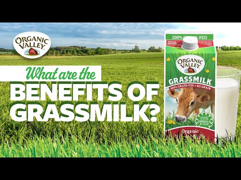 Grass-Fed Milk: Everything You Need to Know