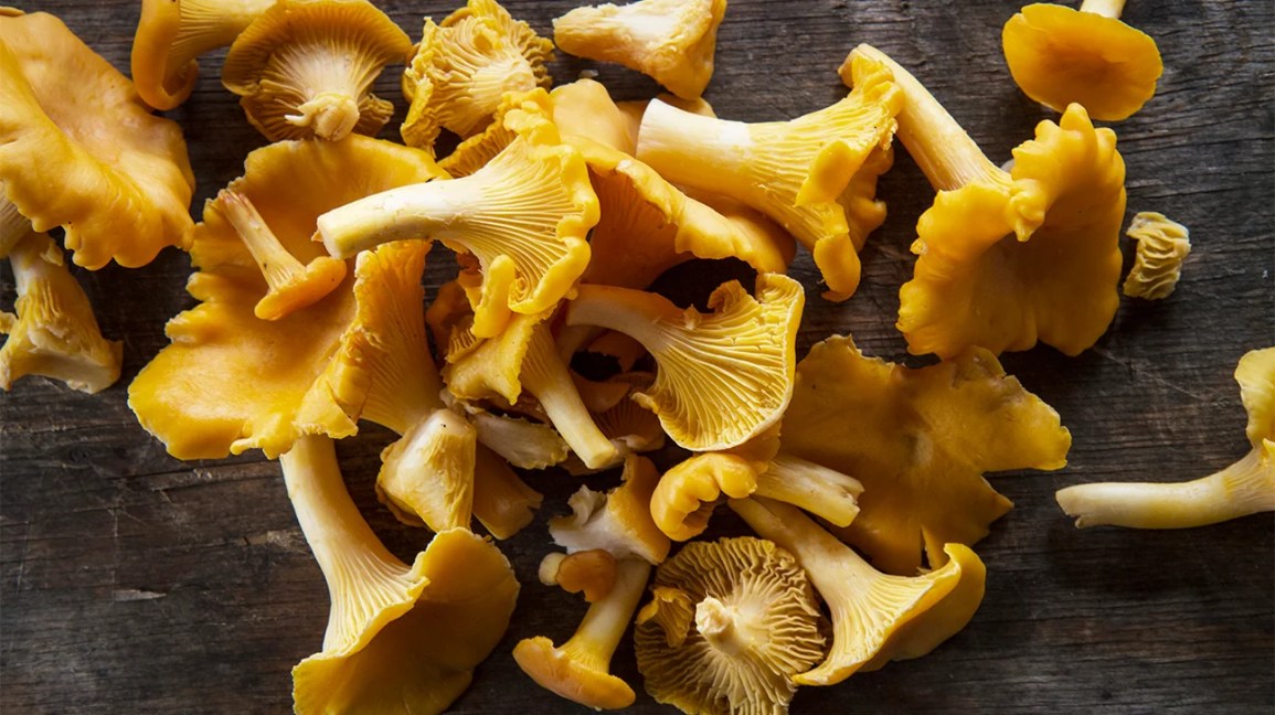 Chanterelle Mushrooms: Nutrients, Benefits, and Recipe