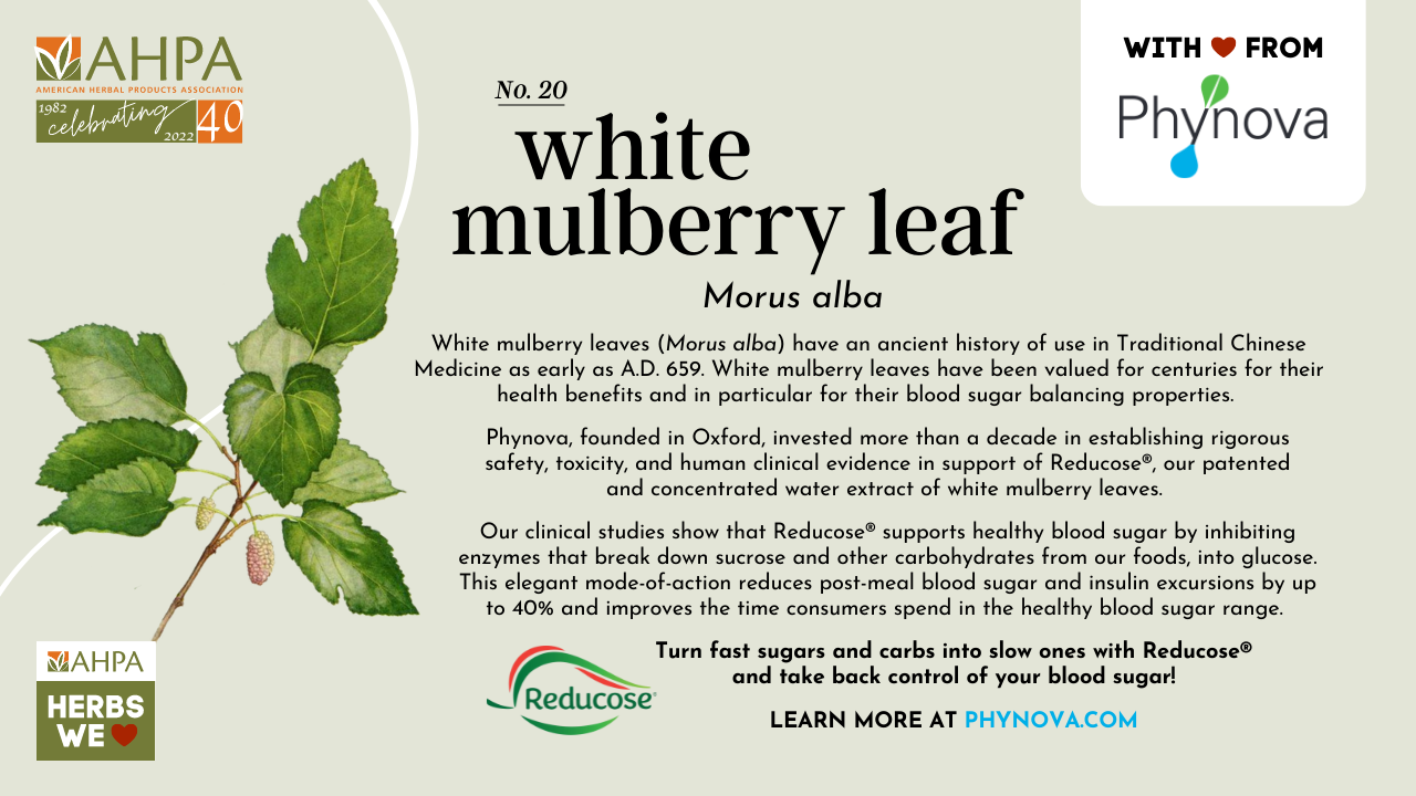 Does White Mulberry Have Health Benefits?