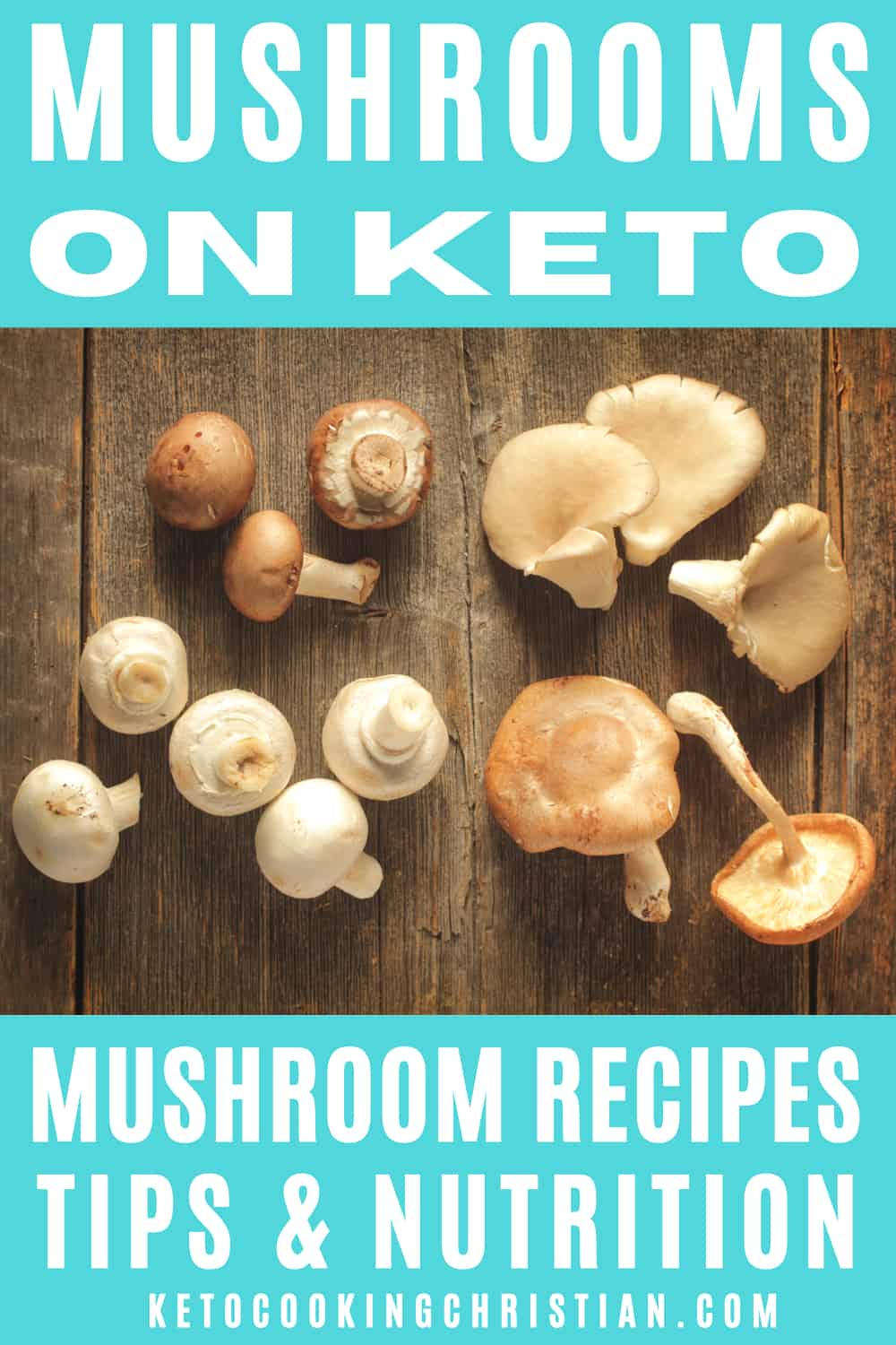 In conclusion, mushrooms are keto-friendly and can be enjoyed as part of a keto diet. They are low in carbs, low in calories, and packed with nutrients. So go ahead and add mushrooms to your next keto-friendly recipe!