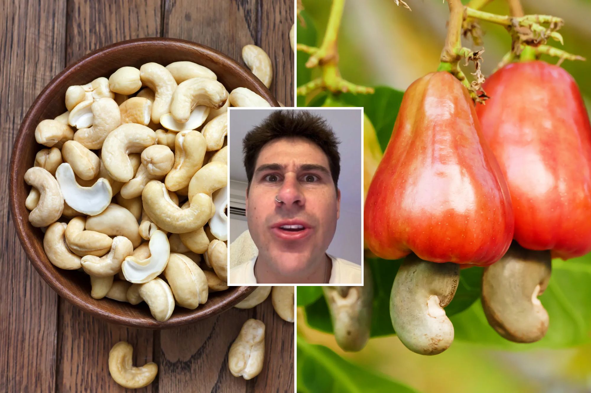Are Cashews Nuts?