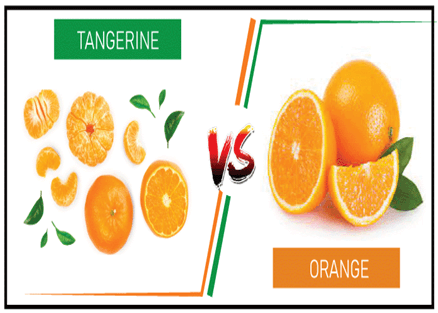 Tangerines vs. Oranges: How Are They Different?