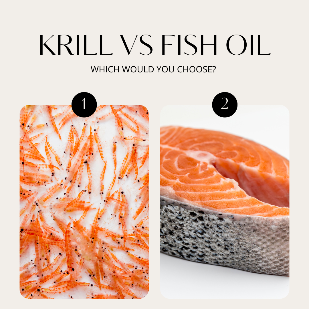 In conclusion, both krill oil and fish oil are valuable sources of omega-3 fatty acids, but they have some differences in terms of absorption and additional benefits. It's important to do your research, talk to your healthcare provider, and consider your individual needs to determine which option is best for you.