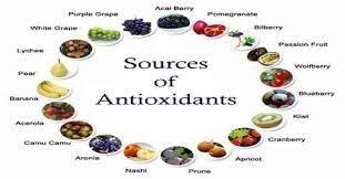 Does Milk Block Antioxidants in Foods and Beverages?