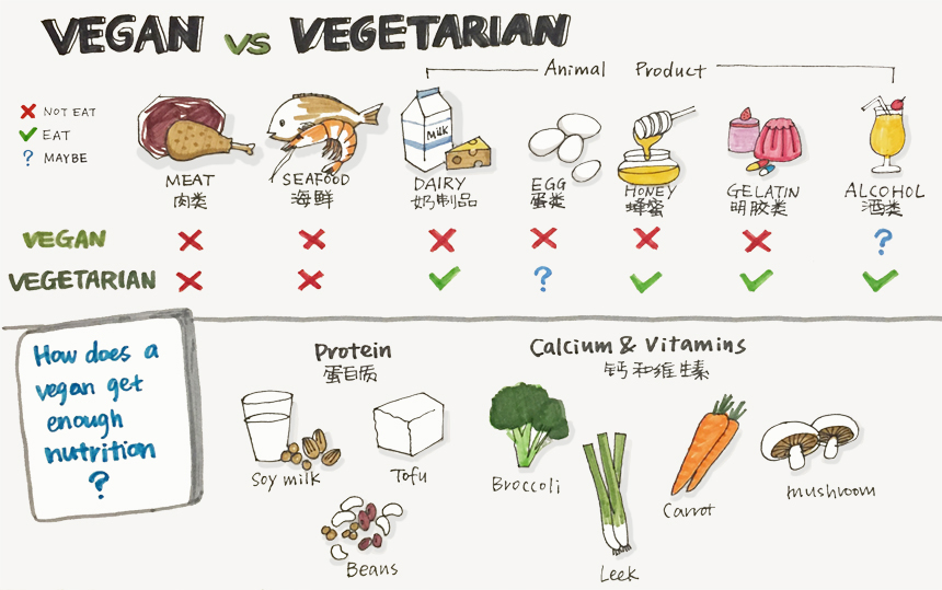 Vegan vs. Dairy-Free: What's the Difference?
