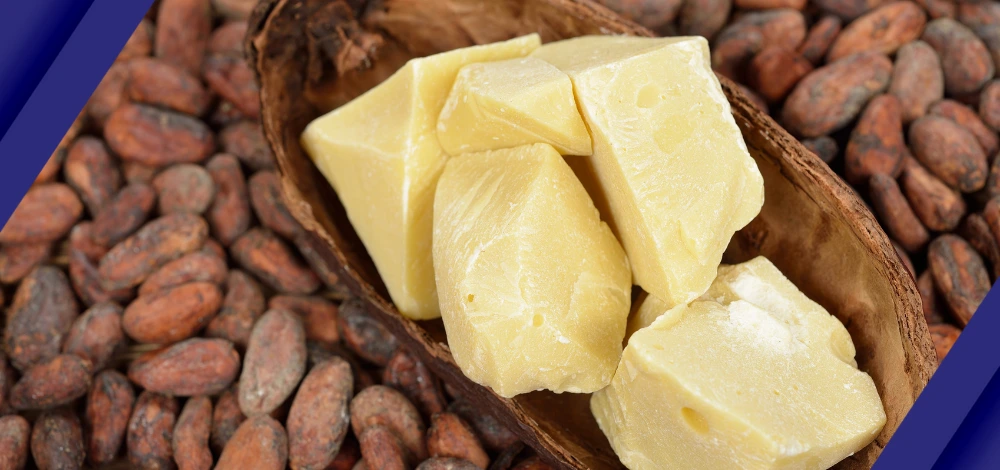 Cocoa Butter: A ‘Food of the Gods’ with Health Benefits